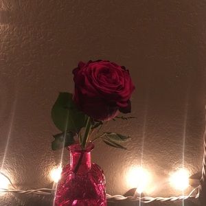 Meet your Posher, Donavan